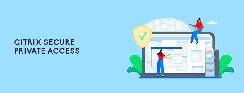 Zero Trust Citrix Secure Private Access summary
