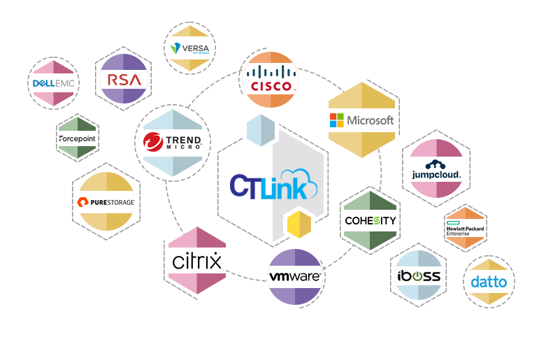 IT Solutions Company CT Link banner